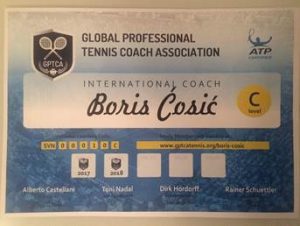 Boris_Cosic_2017_lizenz